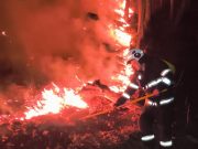 Peste 20 de hectare arse în Bihor: pompierii au intervenit la 7 incendii