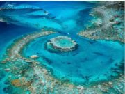Marea Barieră de Corali – Minunea vie a planetei
