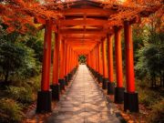 Kyoto – Tradiție și frumusețe japoneză : Orașul unde timpul pare să stea în loc