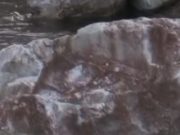 Comoara de 10 miliarde de euro ascunsă sub pădurile din Bihor – Zăcământul care ar putea reduce dependența Europei de China