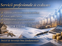 Servicii profesionale de evaluare