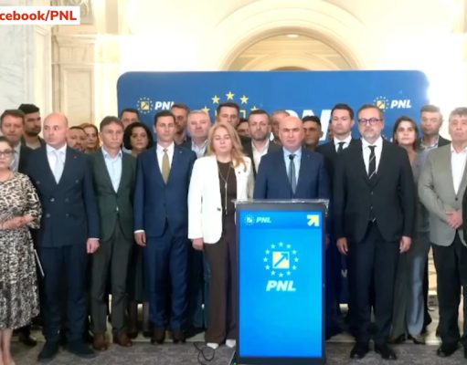 PNL respinge susținerea Guvernului Veștea